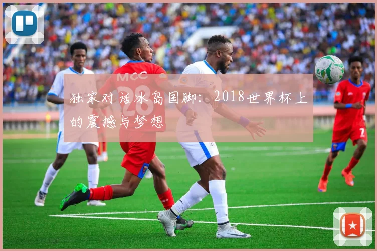 独家对话冰岛国脚:2018世界杯上的震撼与梦想