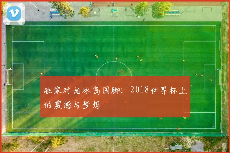 独家对话冰岛国脚：2018世界杯上的震撼与梦想
