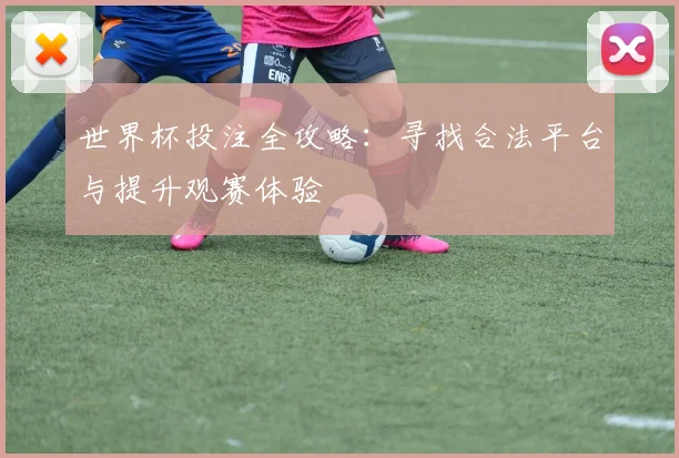 世界杯投注全攻略：寻找合法平台与提升观赛体验