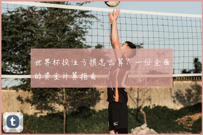 世界杯投注亏损怎么算?一份全面的资金计算指南