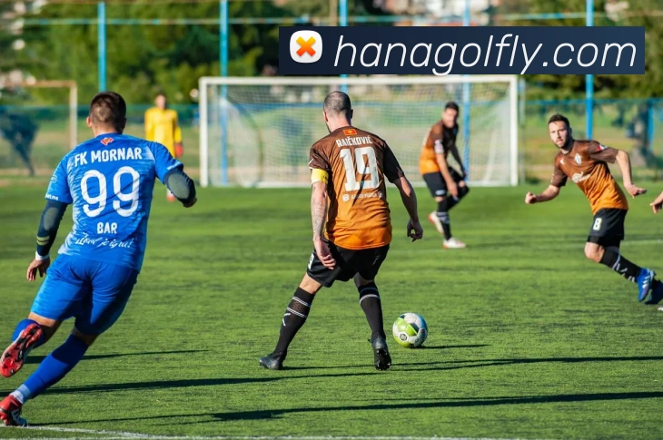 米兰体育在线登录入口服务体系